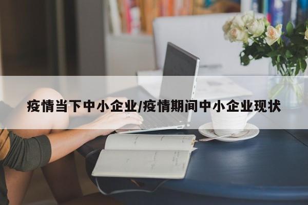 疫情当下中小企业/疫情期间中小企业现状