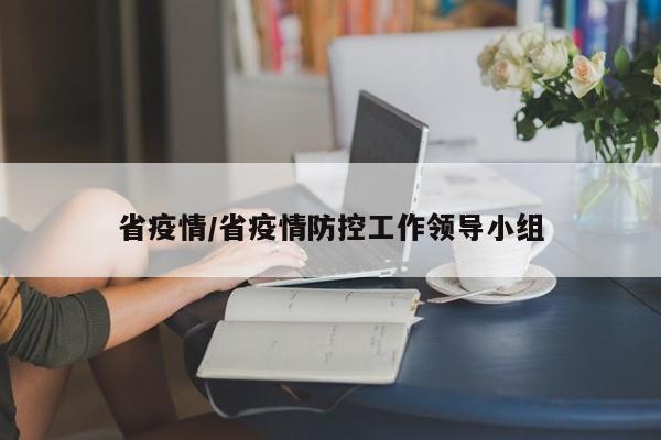 省疫情/省疫情防控工作领导小组