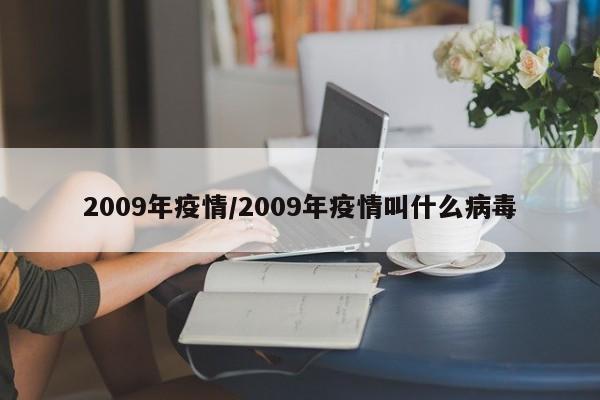 2009年疫情/2009年疫情叫什么病毒